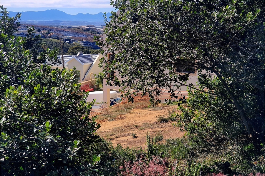 0 Bedroom Property for Sale in Vakansieplaas Western Cape